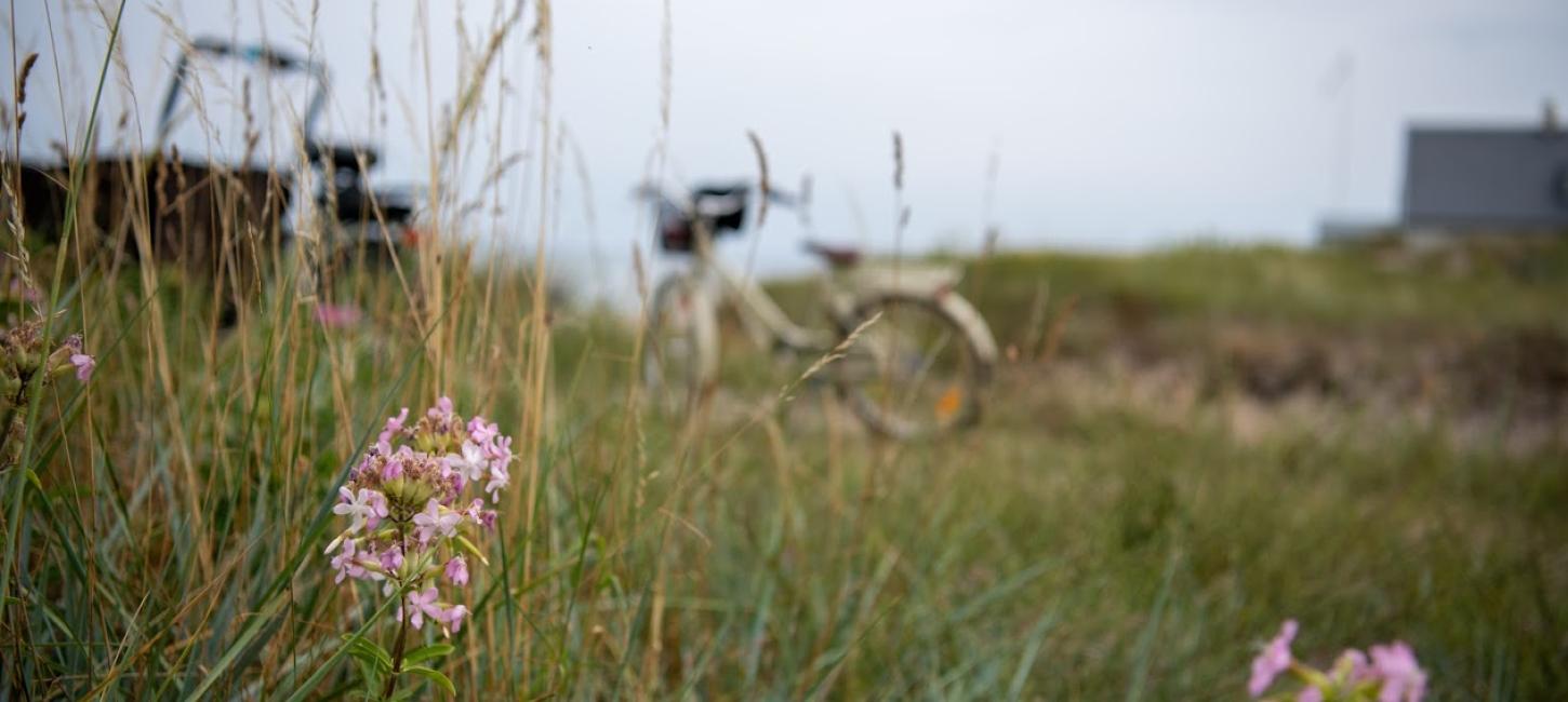 På cykel i Nordsjælland
