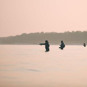 Fishing Danmark